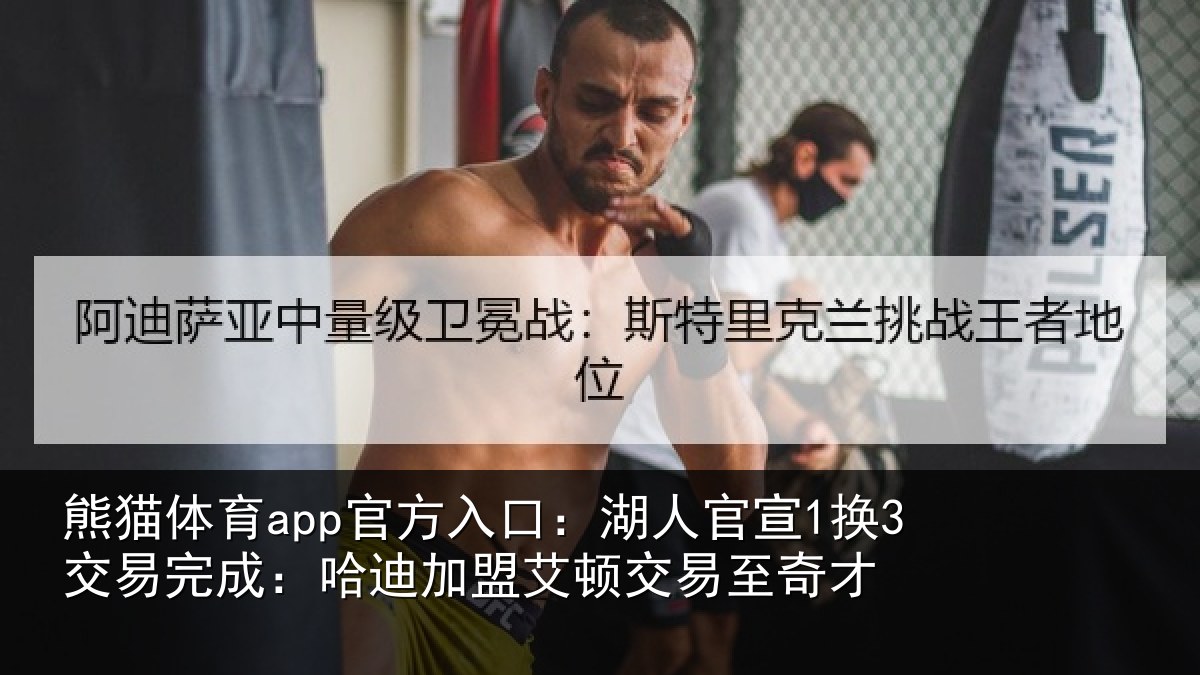 熊猫体育app官方入口:湖人相关情况迪加相关情况