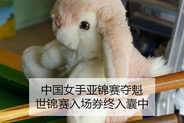 zhong-guo-nv-shou-ya-jin-sai-duo-kui-shi-jin-sai-ru-chang-quan-zhong-ru-nang-zhong-2-444.jpg
