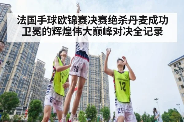 法国手球欧锦赛决赛绝杀丹麦成功卫冕的辉煌伟大巅峰对决全记录